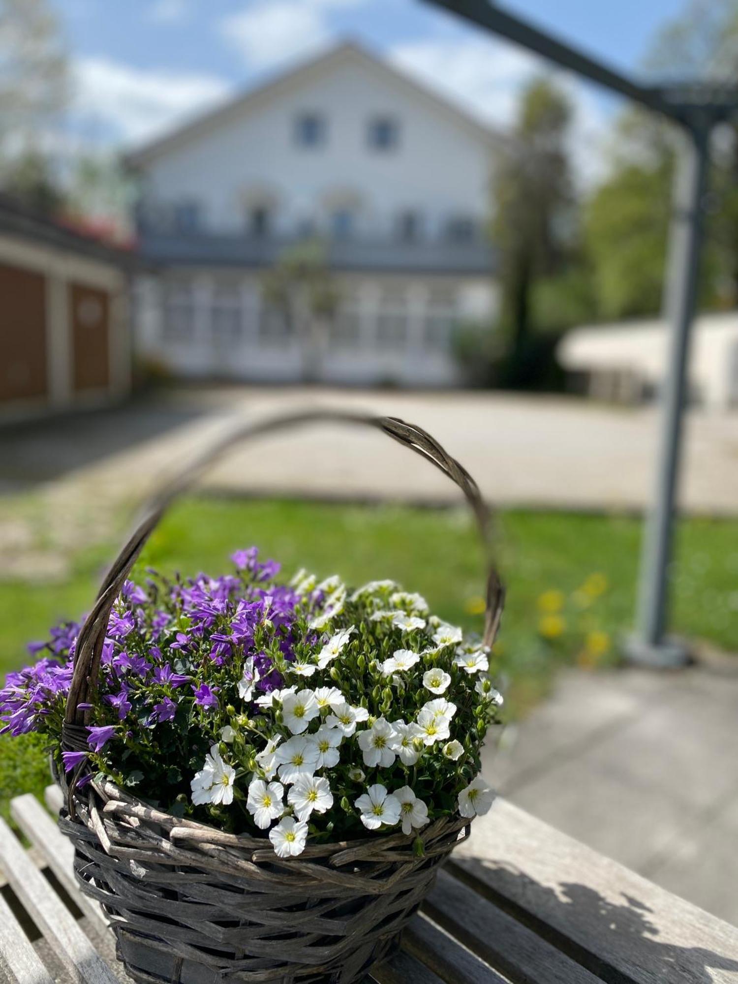 Ferienwohnung Am Franziskanergarten Bad Tölz Eksteriør bilde